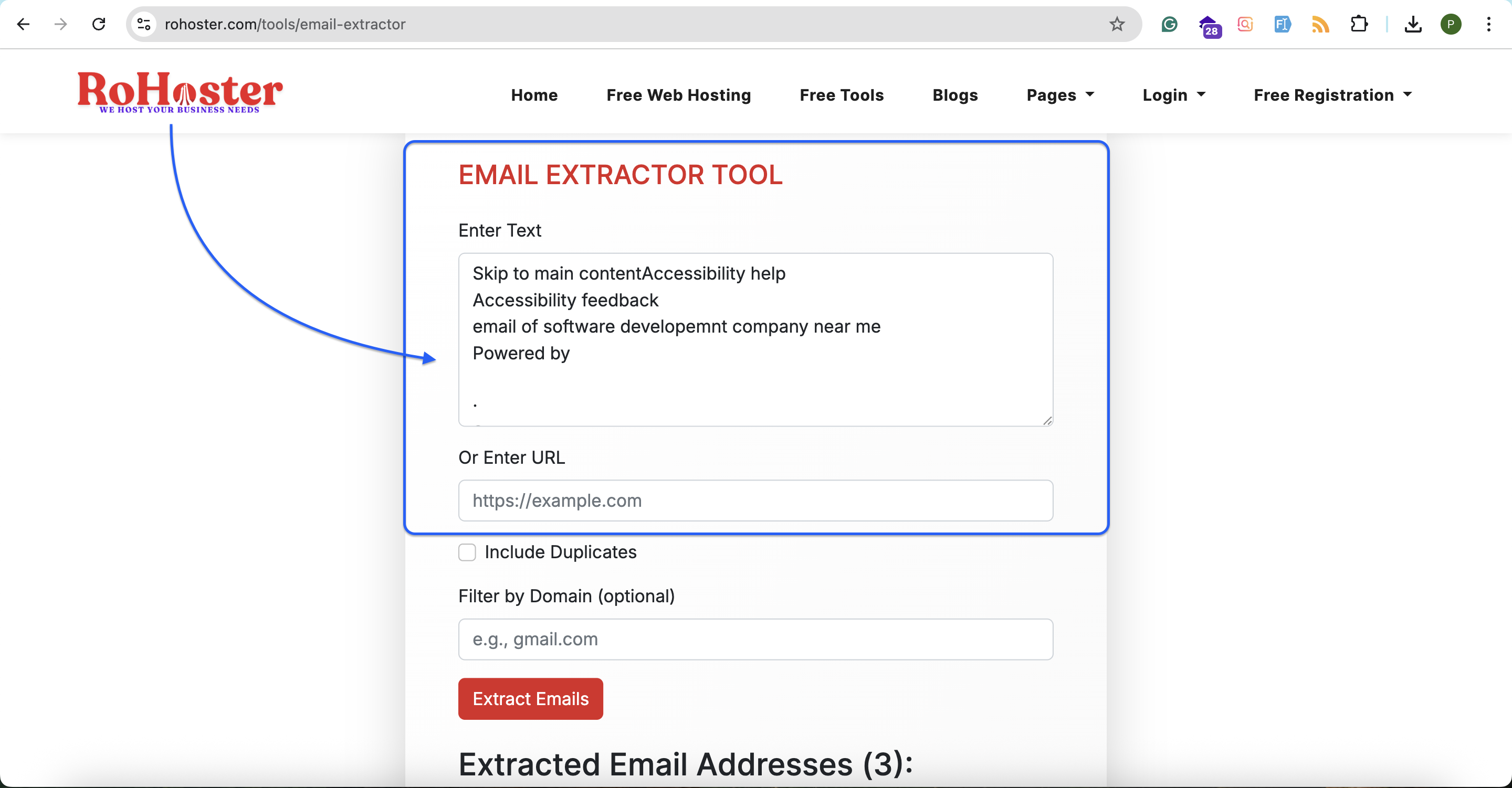 How to Use the Email Extractor Tool by RoHoster