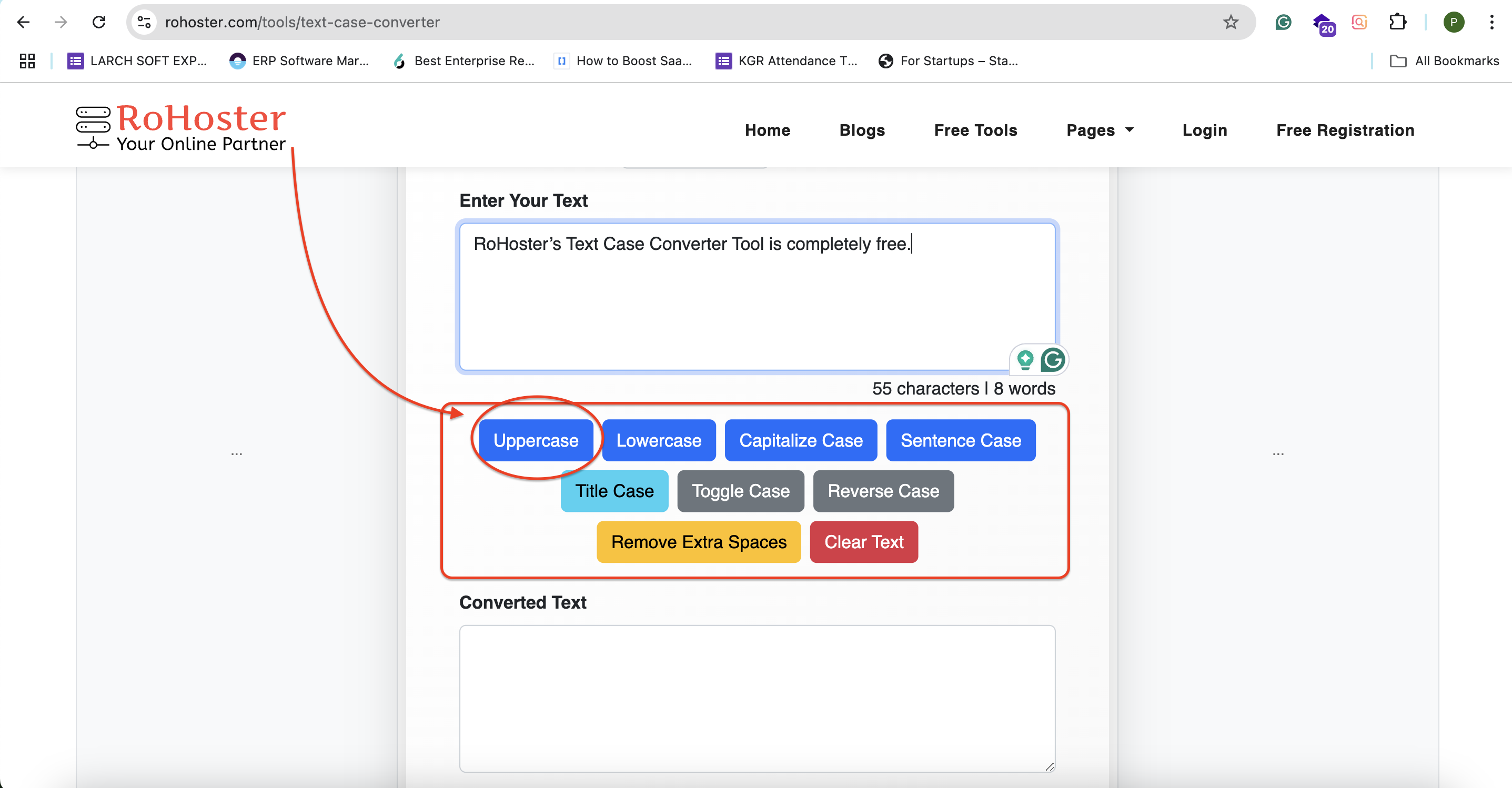 How to Use the Text Case Converter Tool by RoHoster
