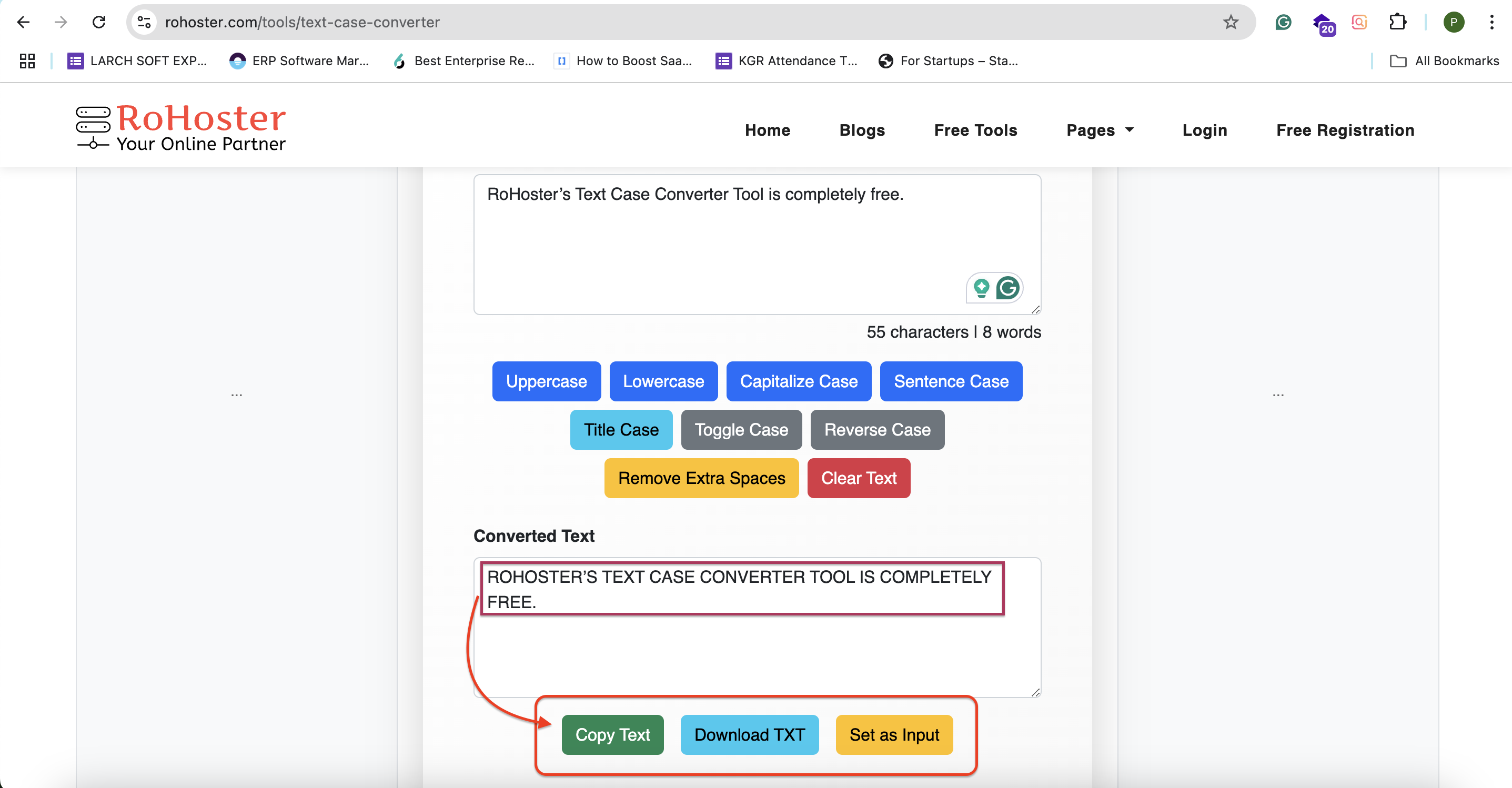How to Use the Text Case Converter Tool by RoHoster