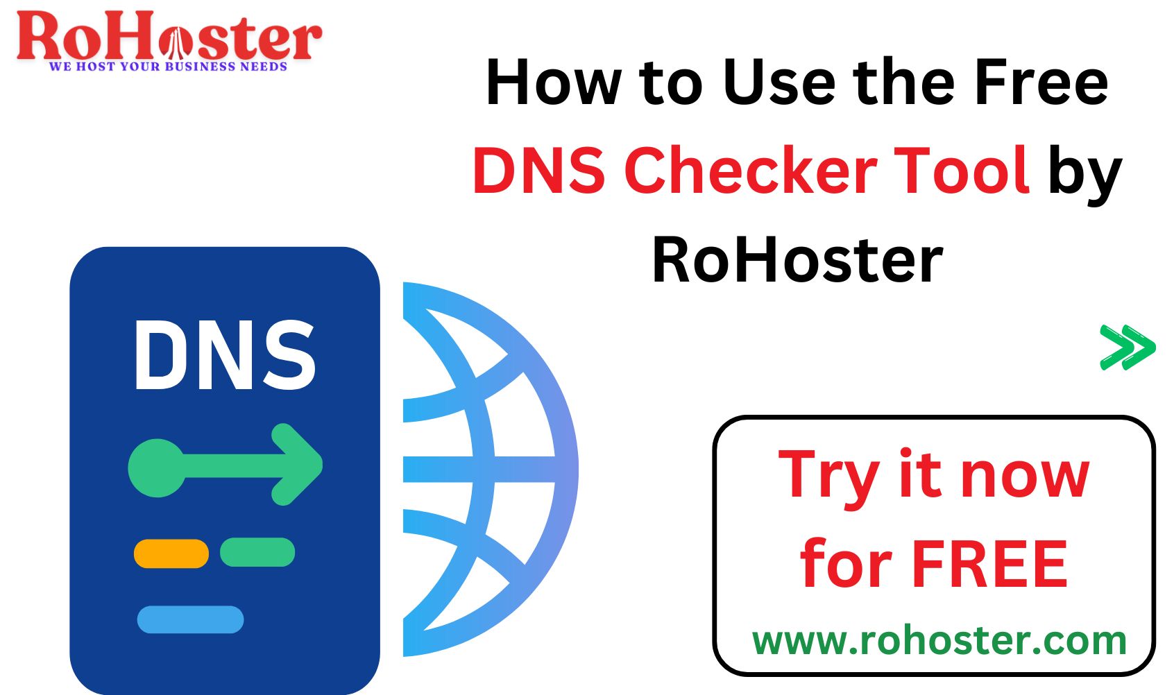 How to Use the Free DNS Checker Tool by RoHoster